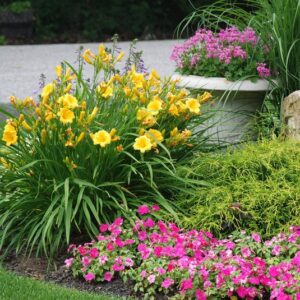 C27 Landscaping Contractors License